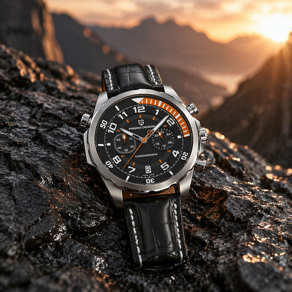 Мужские часы PAGANI DESIGN Cla – обзор и цена Chronograph Sport Watch